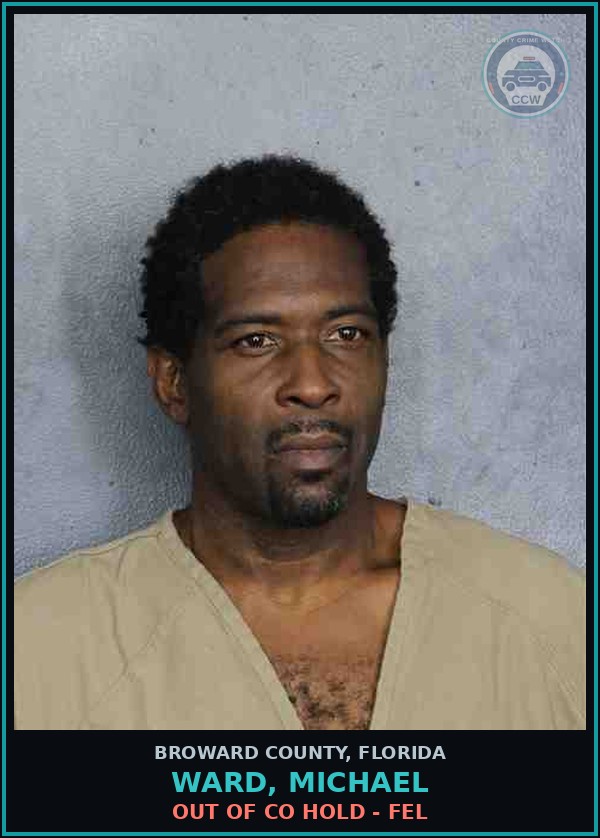 Booking mugshot of WARD, MICHAEL in Broward County