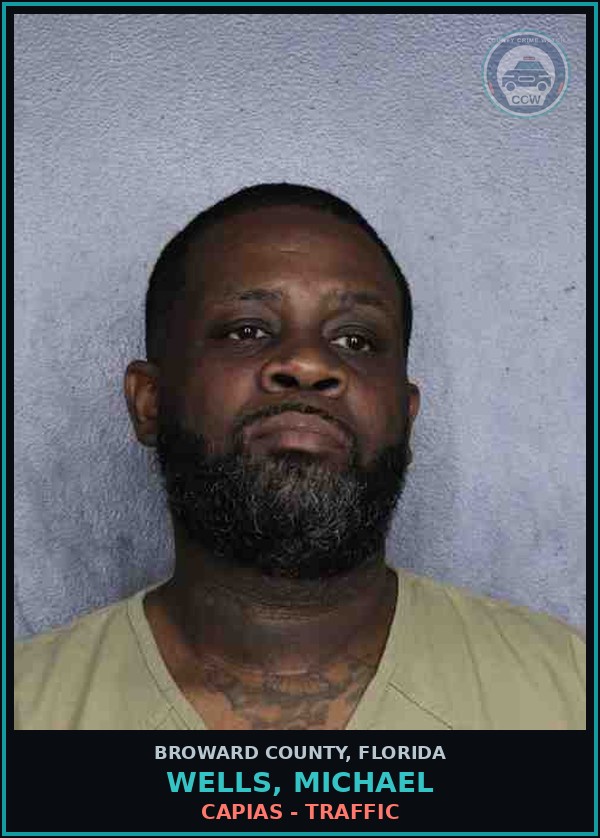 Booking mugshot of WELLS, MICHAEL in Broward County