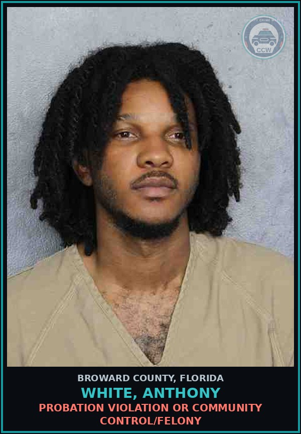 Booking mugshot of WHITE, ANTHONY in Broward County