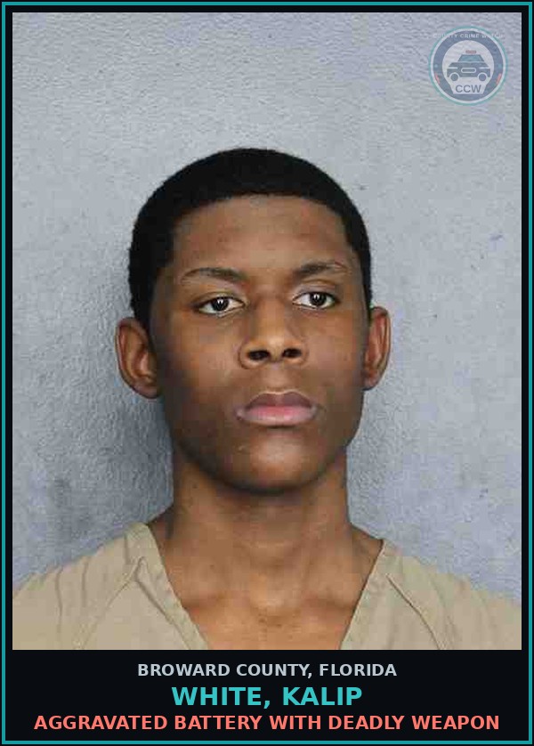 Booking mugshot of WHITE, KALIP in Broward County