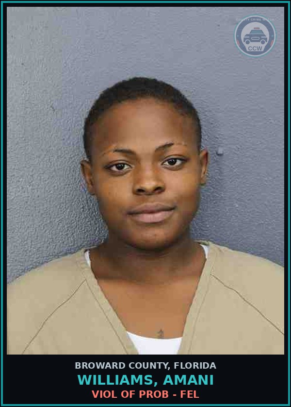 Booking mugshot of WILLIAMS, AMANI in Broward County