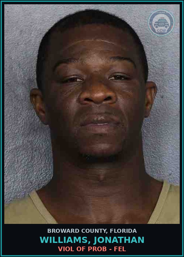 Booking mugshot of WILLIAMS, JONATHAN in Broward County