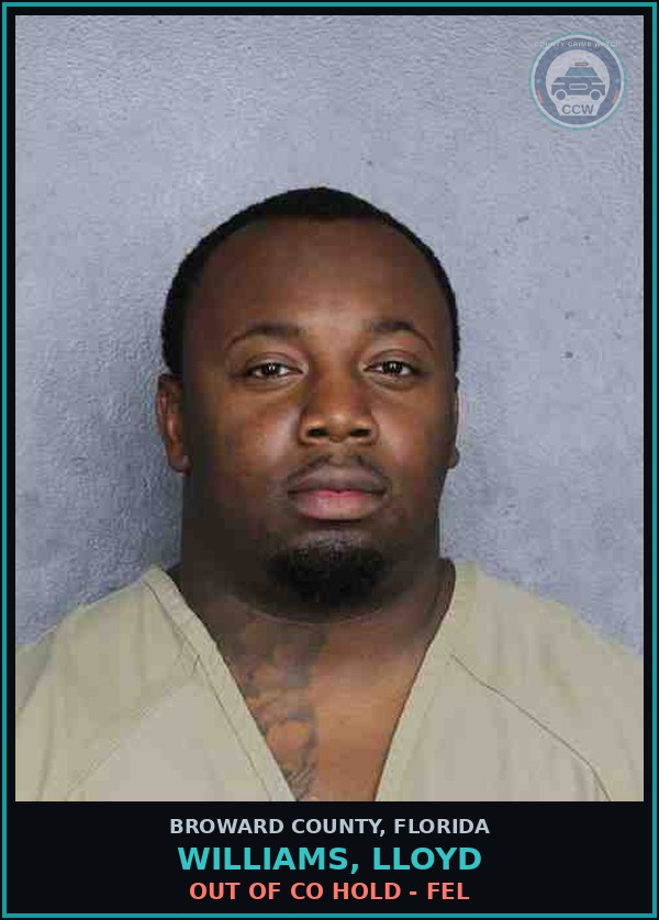 Booking mugshot of WILLIAMS, LLOYD in Broward County