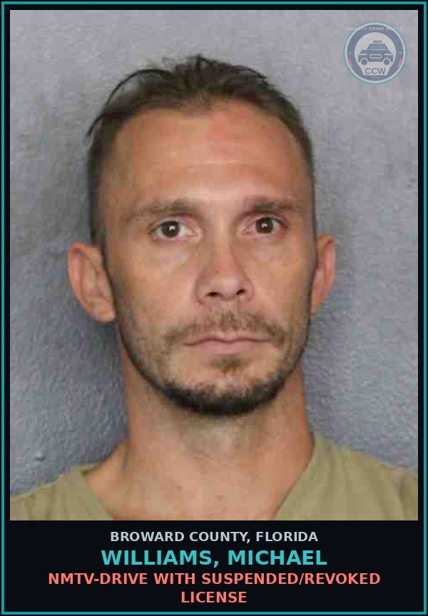 Booking mugshot of WILLIAMS, MICHAEL in Broward County