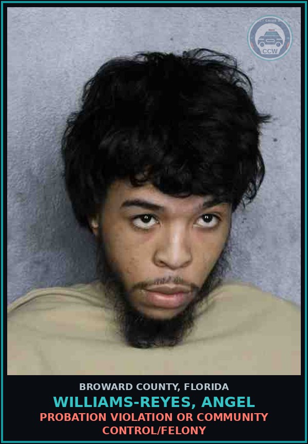 Booking mugshot of WILLIAMS-REYES, ANGEL in Broward County