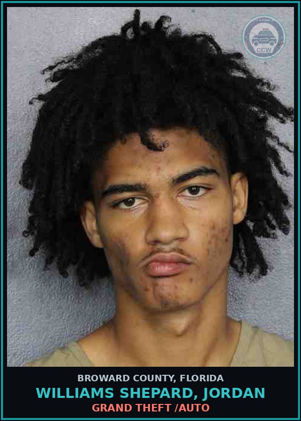 Booking mugshot of WILLIAMS SHEPARD, JORDAN in Broward County