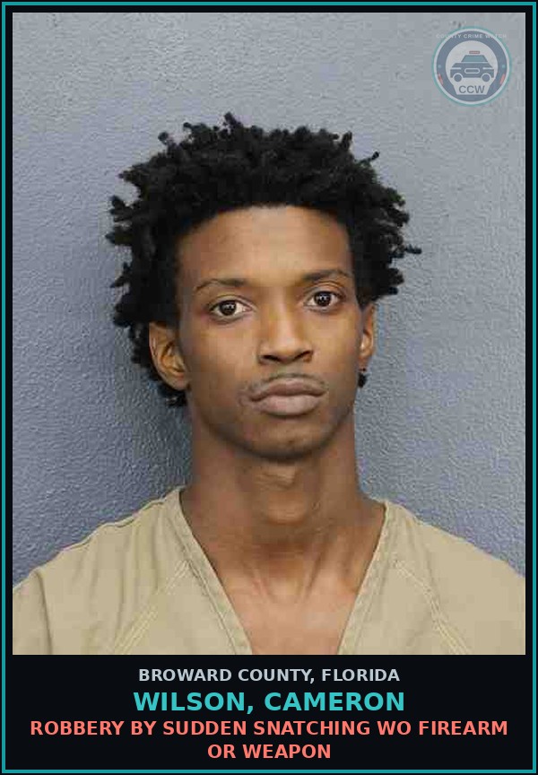 Booking mugshot of WILSON, CAMERON in Broward County