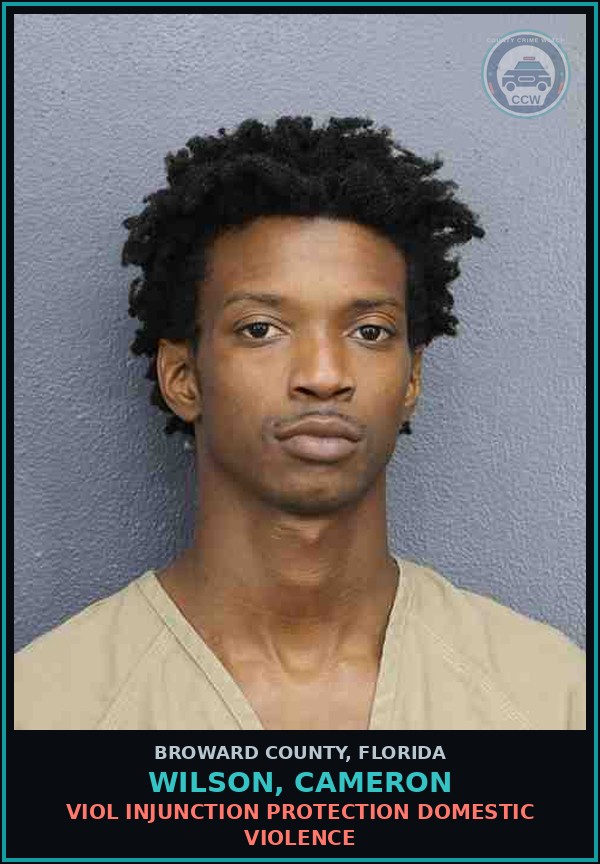 Booking mugshot of WILSON, CAMERON in Broward County