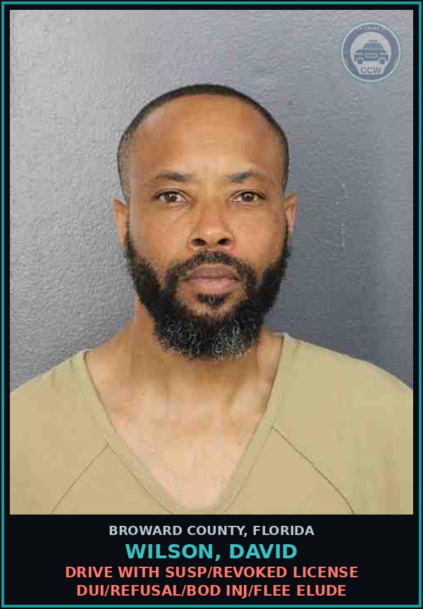 Booking mugshot of WILSON, DAVID in Broward County