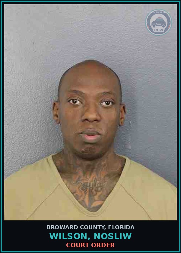 Booking mugshot of WILSON, NOSLIW in Broward County