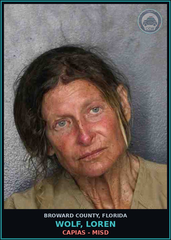 Booking mugshot of WOLF, LOREN in Broward County
