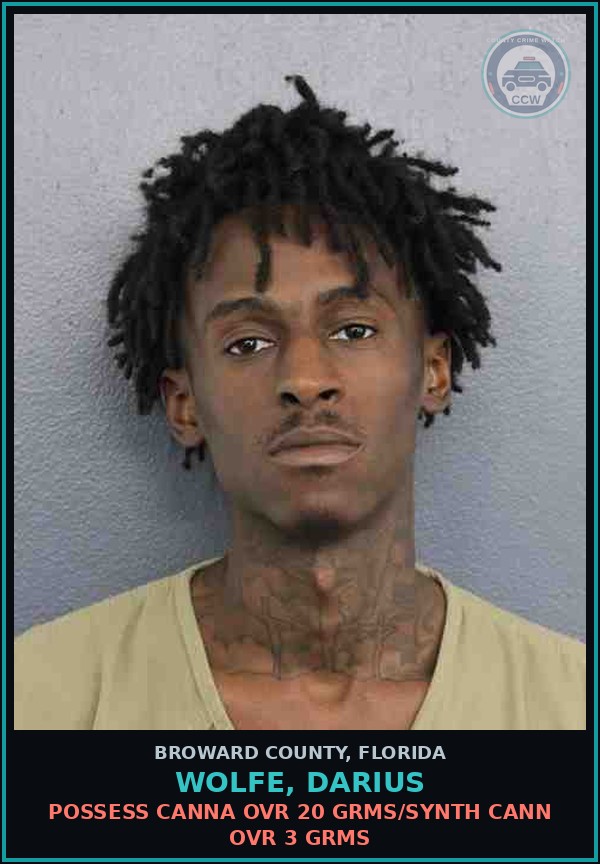 Booking mugshot of WOLFE, DARIUS in Broward County