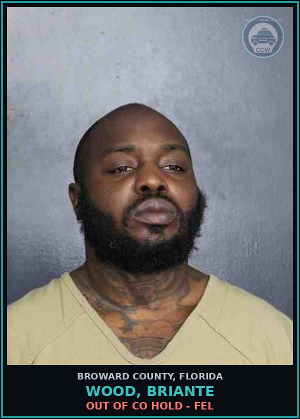 Booking mugshot of WOOD, BRIANTE in Broward County