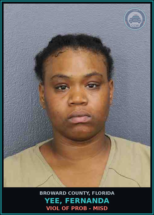 Booking mugshot of YEE, FERNANDA in Broward County