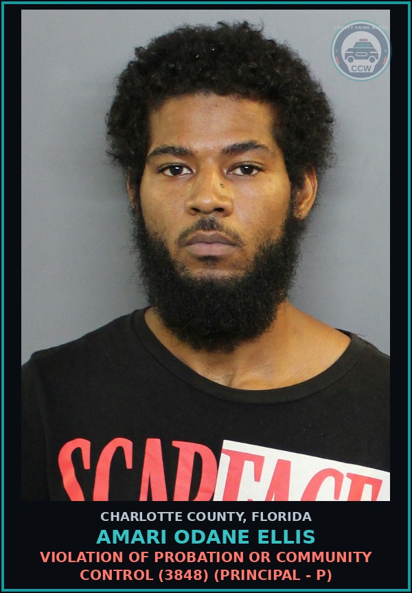 Booking mugshot of AMARI ODANE ELLIS in Charlotte County