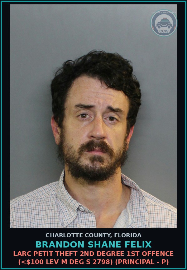 Booking mugshot of BRANDON SHANE FELIX in Charlotte County