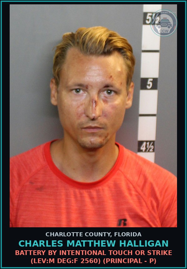 Booking mugshot of CHARLES MATTHEW HALLIGAN in Charlotte County