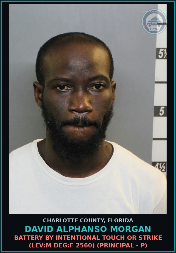 Booking mugshot of DAVID ALPHANSO MORGAN in Charlotte County