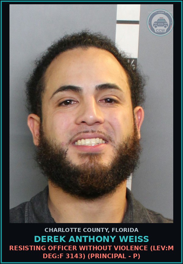 Booking mugshot of DEREK ANTHONY WEISS in Charlotte County