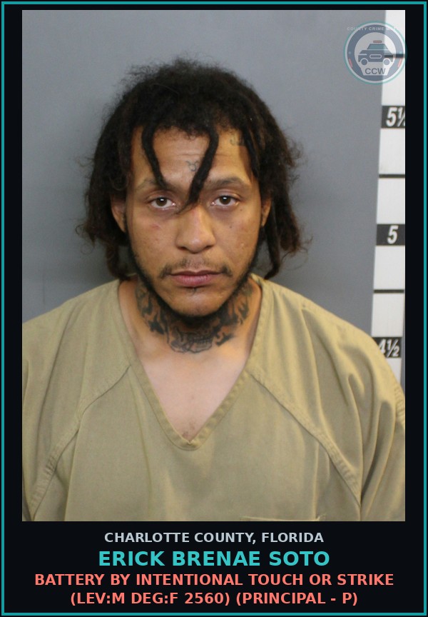 Booking mugshot of ERICK BRENAE SOTO in Charlotte County