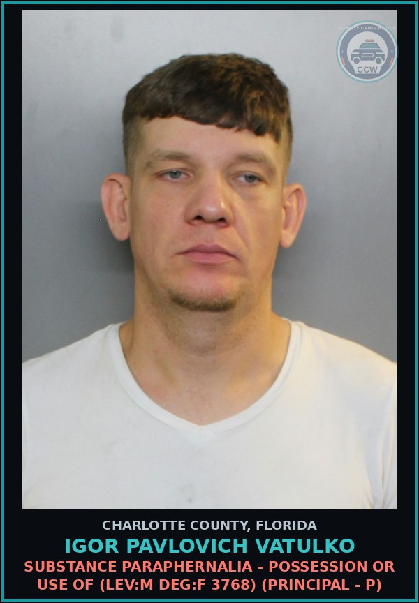 Booking mugshot of IGOR PAVLOVICH VATULKO in Charlotte County