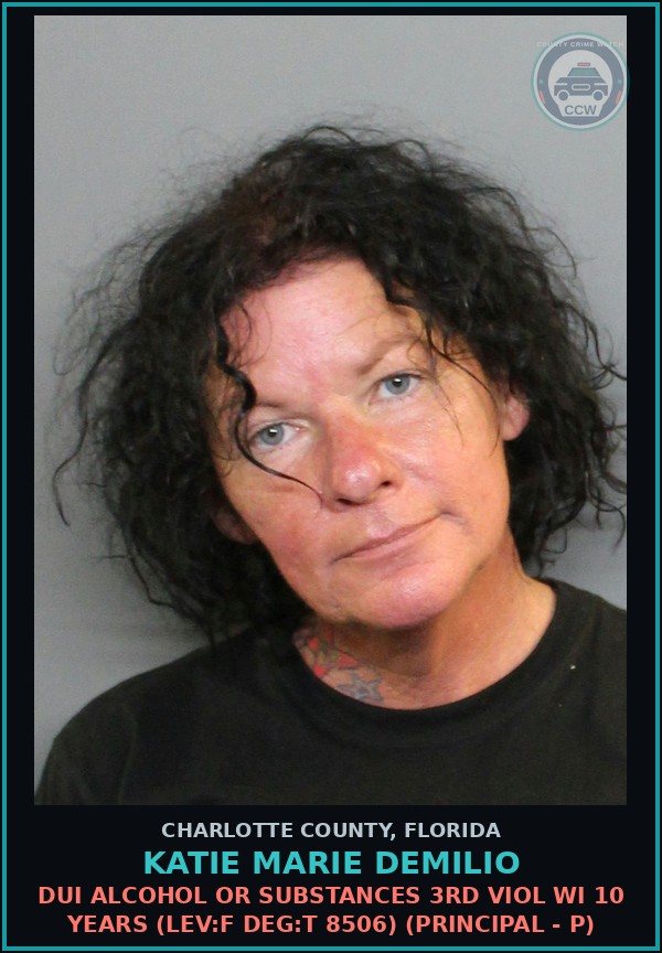 Booking mugshot of KATIE MARIE DEMILIO in Charlotte County