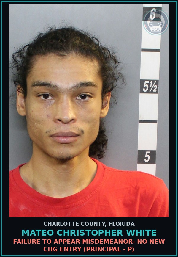 Booking mugshot of MATEO CHRISTOPHER WHITE in Charlotte County
