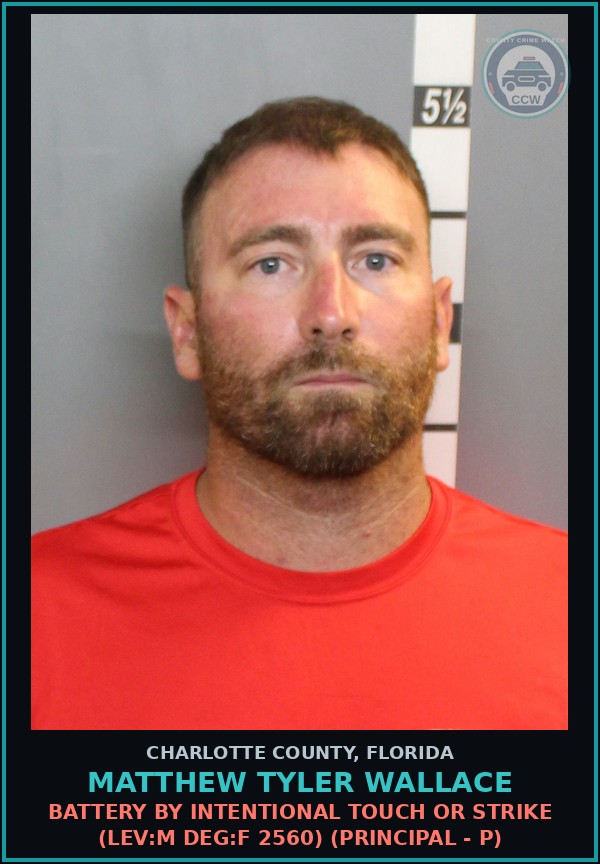 Booking mugshot of MATTHEW TYLER WALLACE in Charlotte County