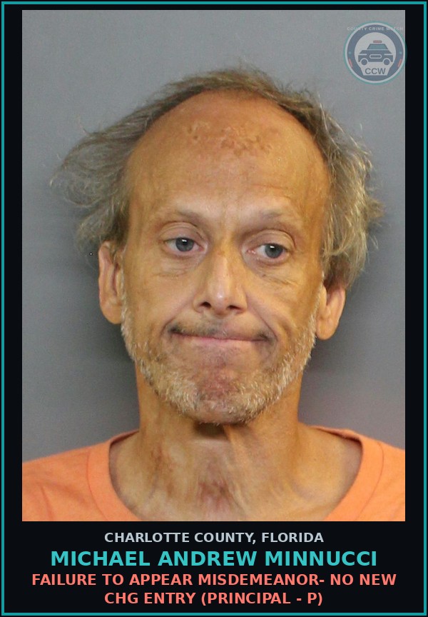 Booking mugshot of MICHAEL ANDREW MINNUCCI in Charlotte County