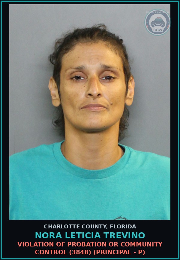 Booking mugshot of NORA LETICIA TREVINO in Charlotte County