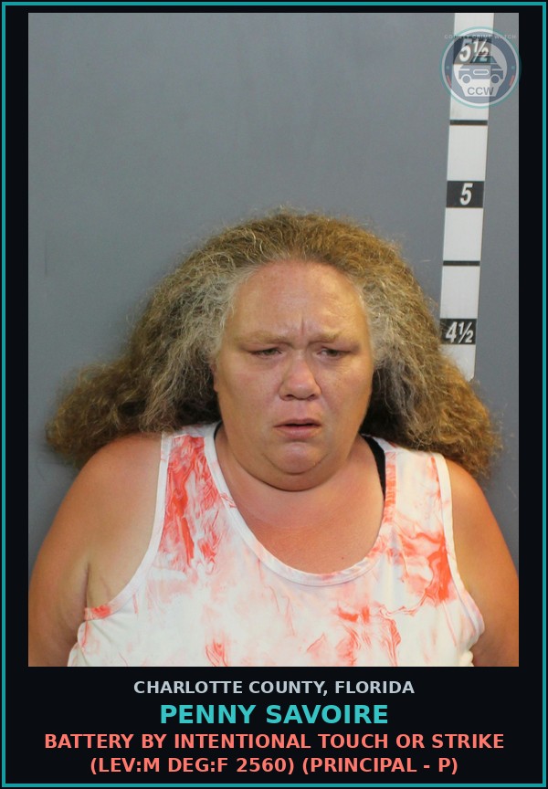 Booking mugshot of PENNY SAVOIRE in Charlotte County