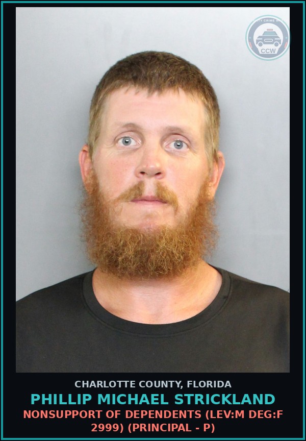 Booking mugshot of PHILLIP MICHAEL STRICKLAND in Charlotte County