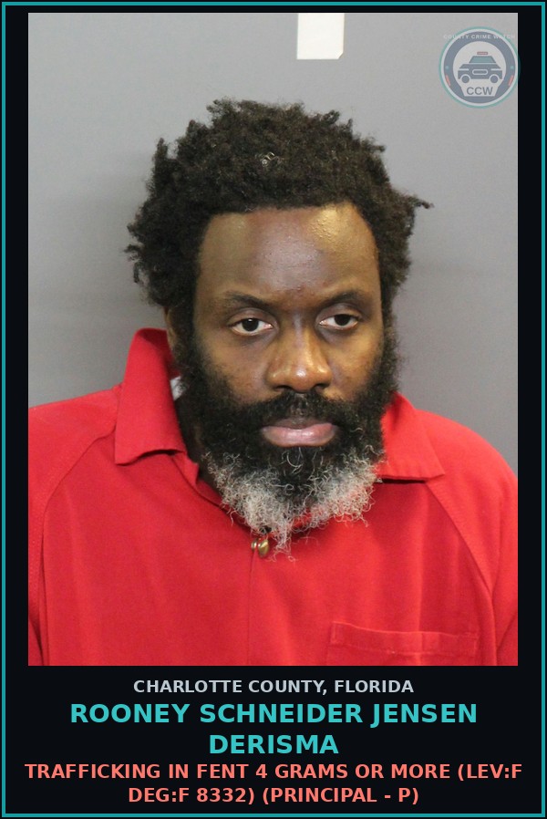 Booking mugshot of ROONEY SCHNEIDER JENSEN DERISMA in Charlotte County