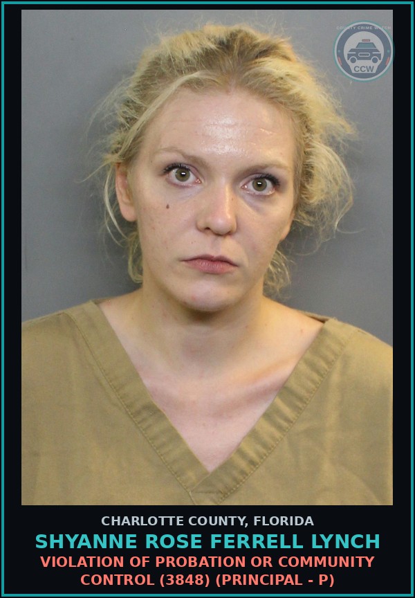 Booking mugshot of SHYANNE ROSE FERRELL LYNCH in Charlotte County
