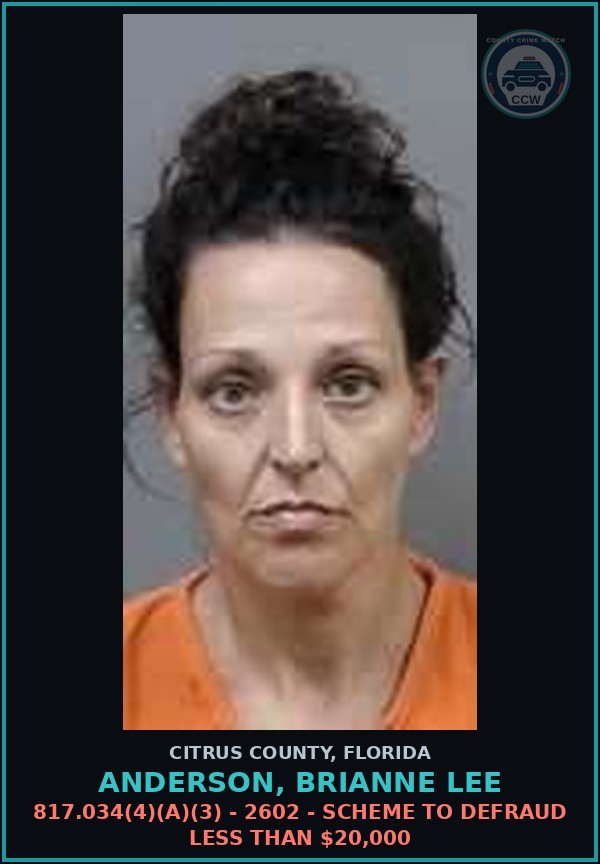 Booking mugshot of ANDERSON, BRIANNE LEE in Citrus County
