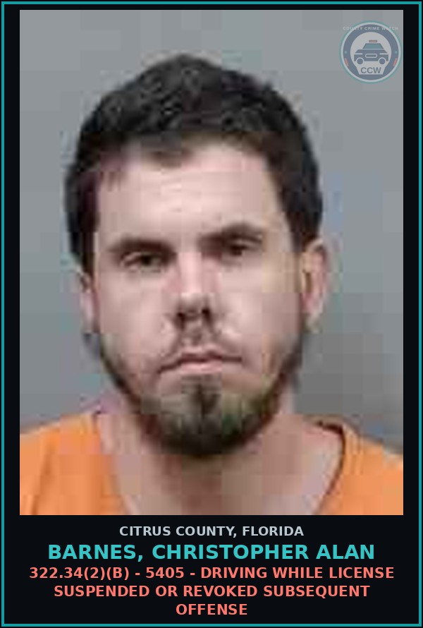 Booking mugshot of Barnes, Christopher Alan in Citrus County