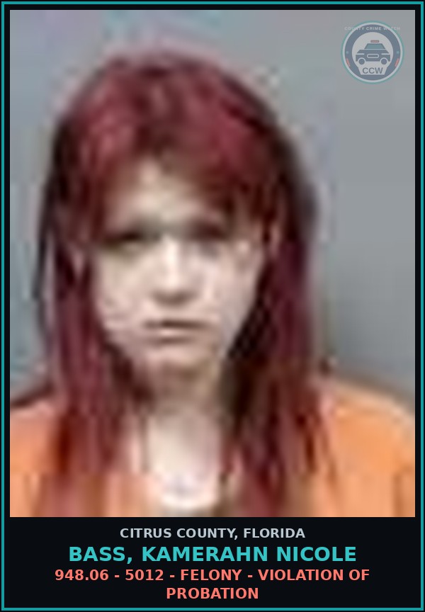Booking mugshot of BASS, KAMERAHN NICOLE in Citrus County