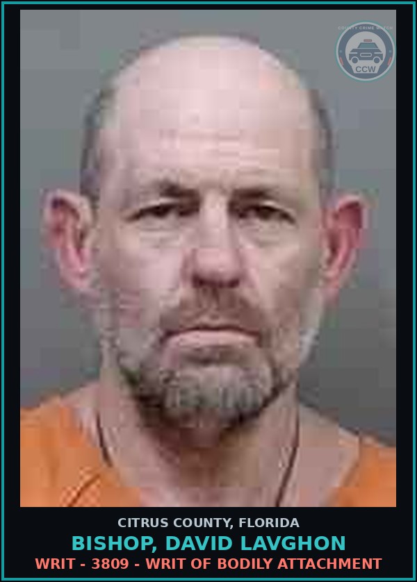 Booking mugshot of BISHOP, DAVID LAVGHON in Citrus County