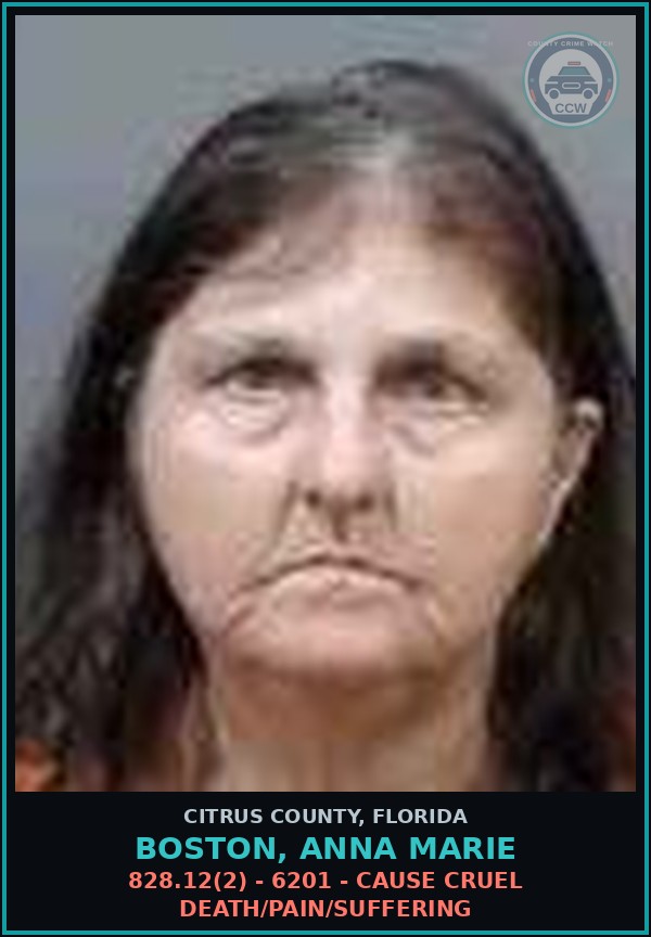 Booking mugshot of BOSTON, ANNA MARIE in Citrus County
