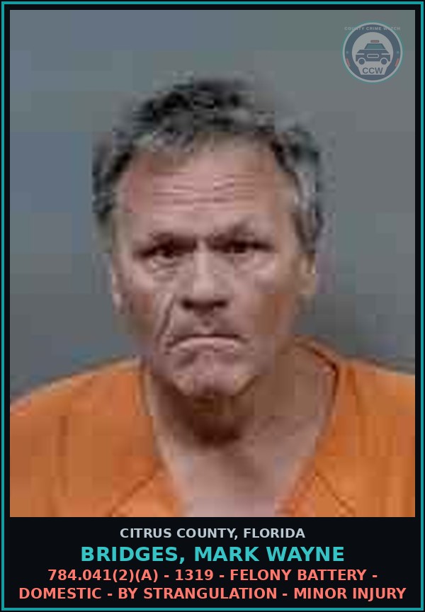 Booking mugshot of Bridges, Mark Wayne in Citrus County
