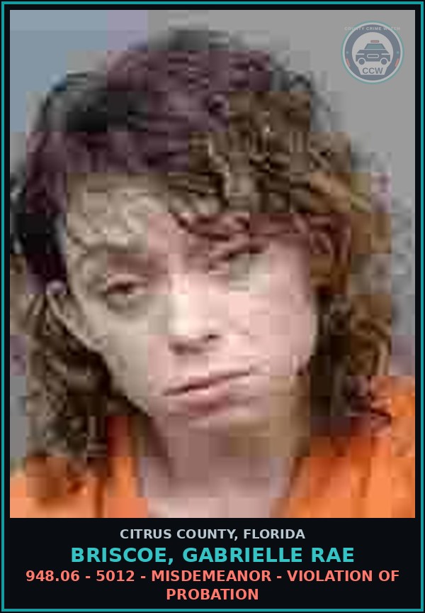 Booking mugshot of BRISCOE, GABRIELLE RAE in Citrus County