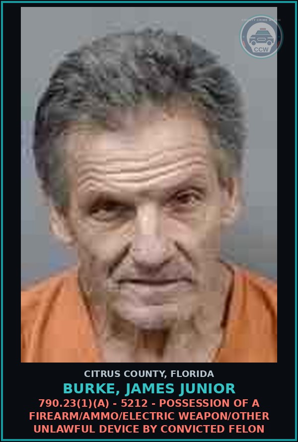 Booking mugshot of Burke, James Junior in Citrus County