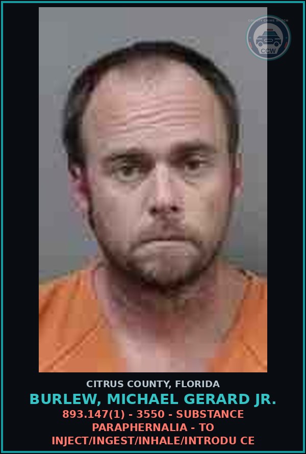 Booking mugshot of BURLEW, MICHAEL GERARD Jr. in Citrus County