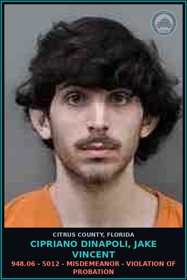 Booking mugshot of CIPRIANO DINAPOLI, JAKE VINCENT in Citrus County