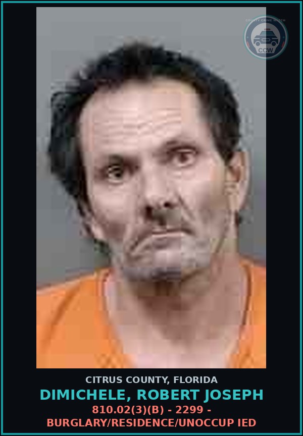Booking mugshot of Dimichele, Robert Joseph in Citrus County