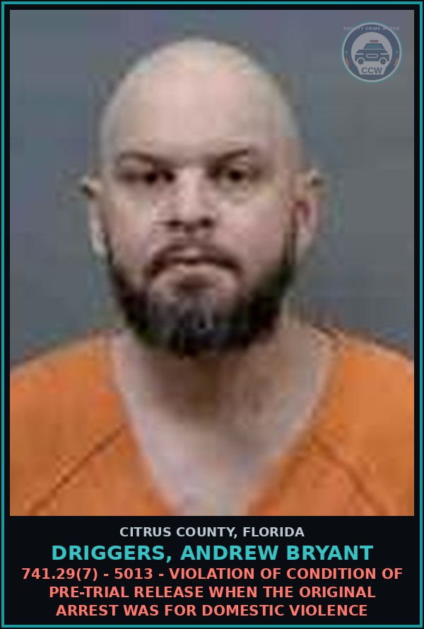 Booking mugshot of DRIGGERS, ANDREW BRYANT in Citrus County