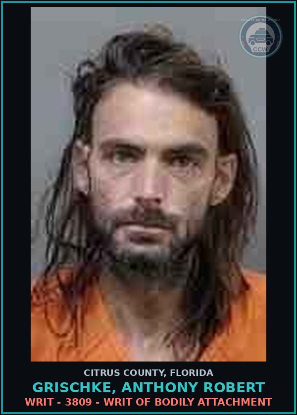 Booking mugshot of GRISCHKE, ANTHONY ROBERT in Citrus County