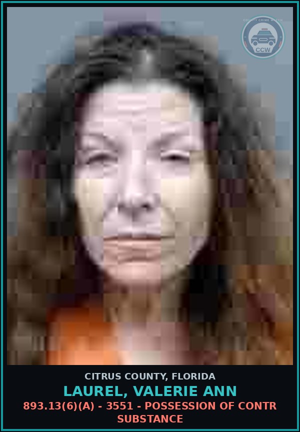Booking mugshot of LAUREL, VALERIE ANN in Citrus County