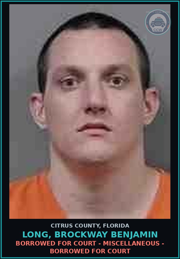 Booking mugshot of LONG, BROCKWAY BENJAMIN in Citrus County