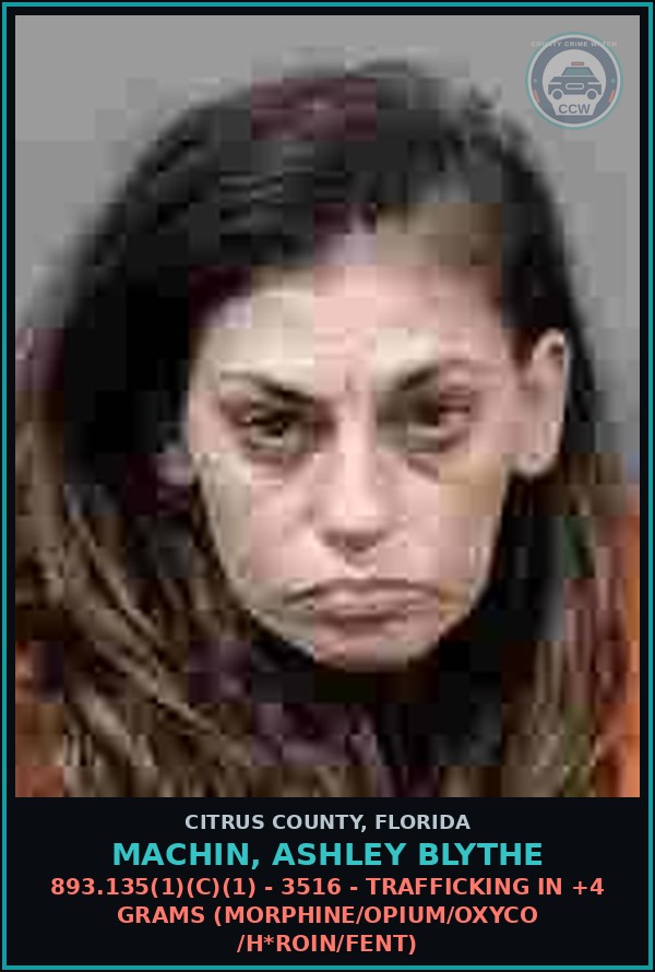 Booking mugshot of MACHIN, ASHLEY BLYTHE in Citrus County
